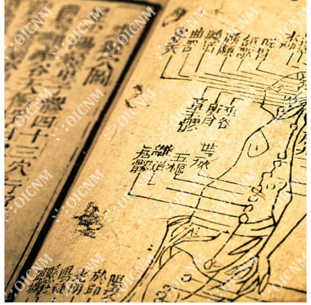 Certificate in TCM Diagnosis