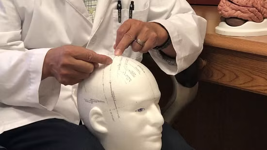 Professional Diploma in Clinical Acupuncture