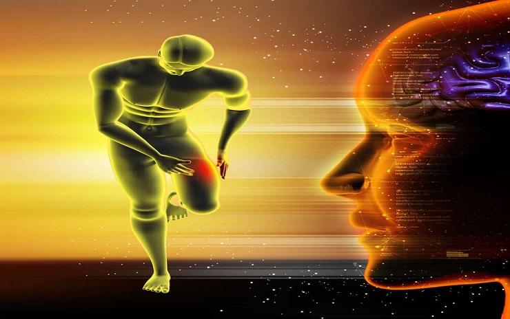 Your Body: A Multilingual Messenger of Health and Emotion