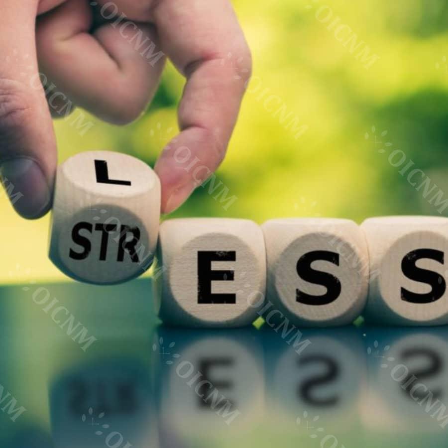 Holistic Approach to Stress Reduction: Mindfulness, Meditation and More